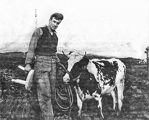Robert Brinckerhoff with th Attu Cow