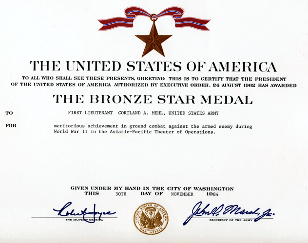 Bronze Star Medal Award