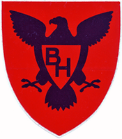 the 343rd emblem