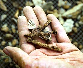 Tom Zoubek holds some of the artifacts