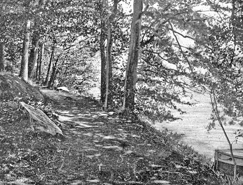 A COOL AND INVITING WALK BY THE LAKE