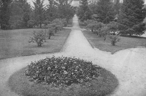 THE NEARNESS OF NATURE IN FLOWERS, SHRUBS, AND TREES