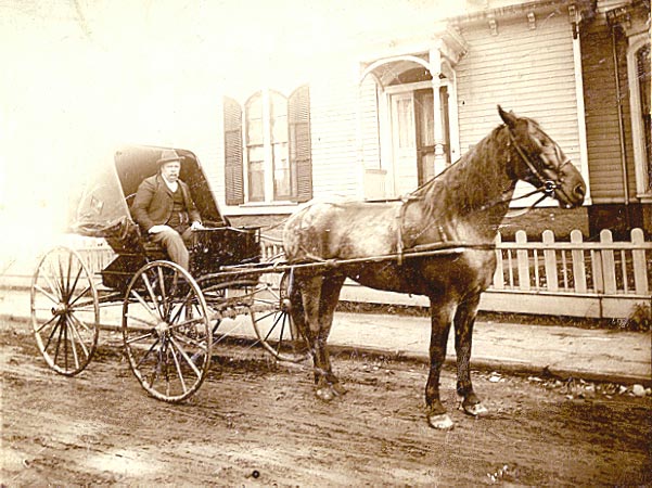 Dr. Francis J. Rogers in his buggy