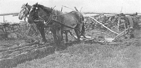 HE IS 'THE HAPPY FARMER.'