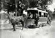 Stamford Street Railroad Car, c. 1890, click  for larger image and description