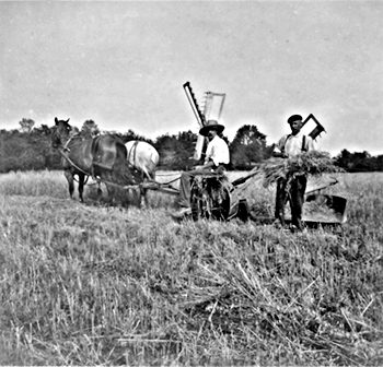 Henry Bouton and Al Avery, North Stamford