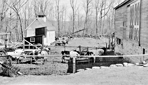 Old barnyard, March 17, 1918, later covered by Laurel Reservoir
