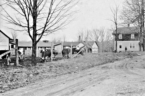 Buildings at the southern end of the property, built early 1920s Buildings at the southern end of the property, built early 1920s