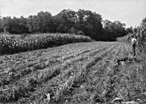 about 1925, east of Woodbine Rd. near the north end of Woodbine Acres