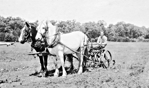 Brushwood farm prior to 1920 Brushwood farm prior to 1920