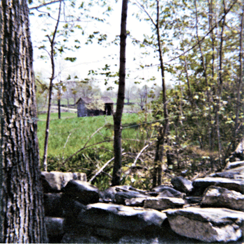 Miller's farm, Long Ridge Village