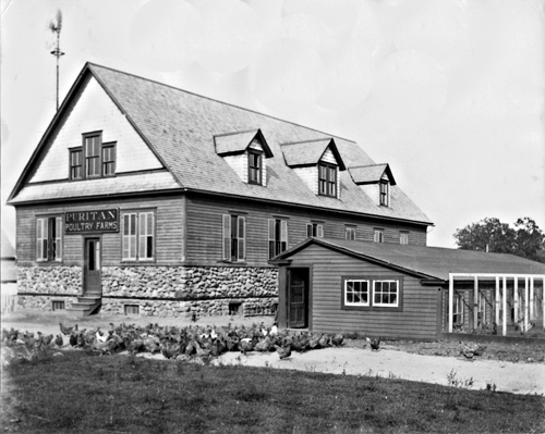 Puritan Poultry Farms