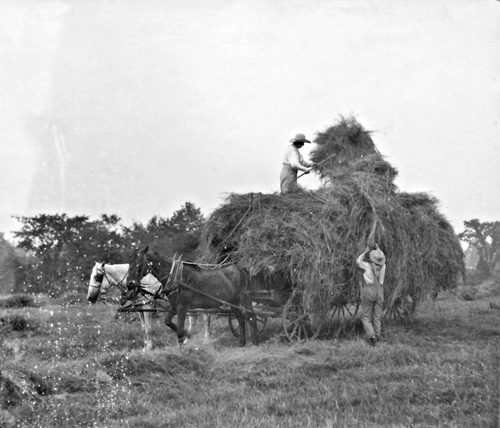 loading hay, North Stamford