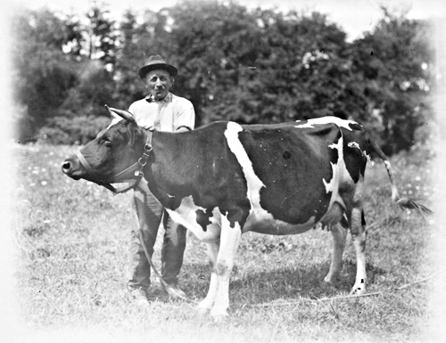 unidentified, North Stamford unidentified, North Stamford
