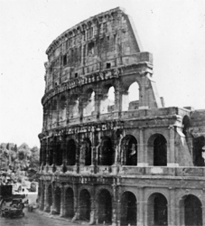 the Colisseum