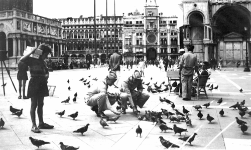 Venice, feeding the pigeons
