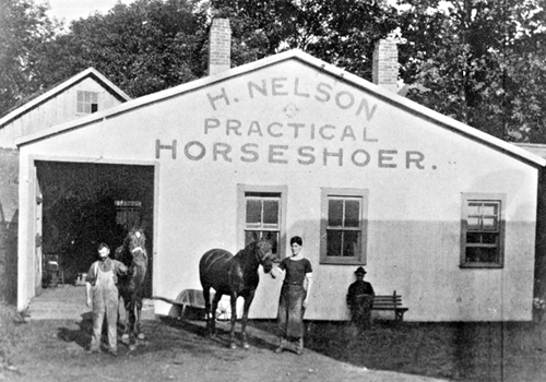 H. Nelson, Horseshoer H. Nelson, Horseshoer