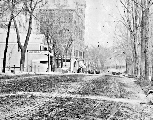 Palmer and Bates, Horseshoeing Palmer and Bates, Horseshoeing